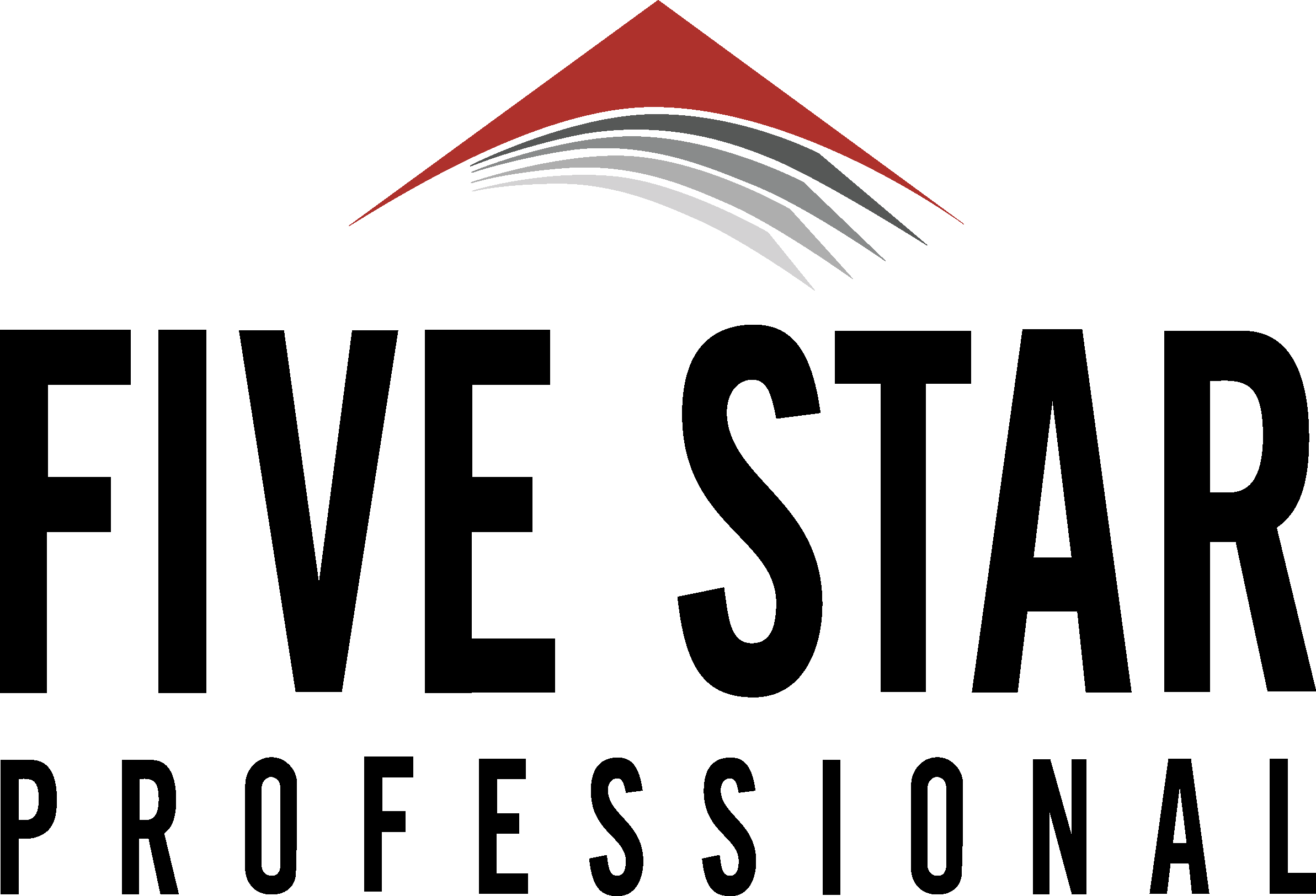 Five Star Professional Logo